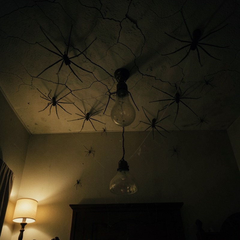 Key frame looking up at a cracked bedroom ceiling at night with long-legged spiders spreading around a dusty lampshade
